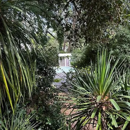 Charmante Pour 8 Personnes Avec Piscine Willa *